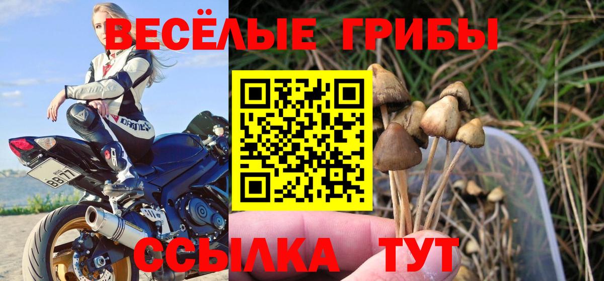 Псилоцибиновые грибы MAGIC MUSHROOMS  Вход с VPN  Боровичи 